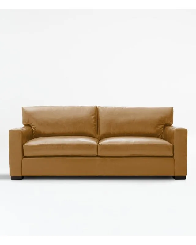 Axis 2-Seat 88" Leather Queen Sleeper Sofa